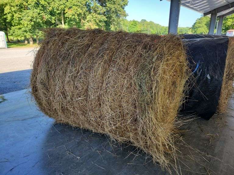 1 Round Bale 1st Orchard Grass Timothy Mix (5x4)