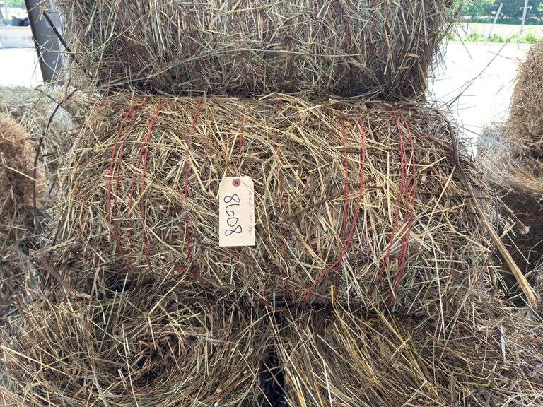 12 Mini Round Bales 1st Mix (20"x28")