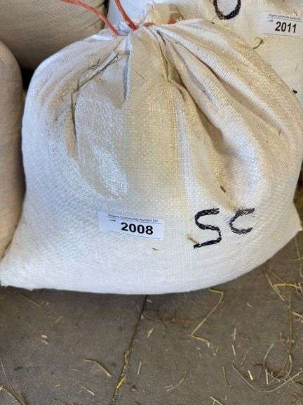 Bag of Shelled Corn - Approx. 28lbs