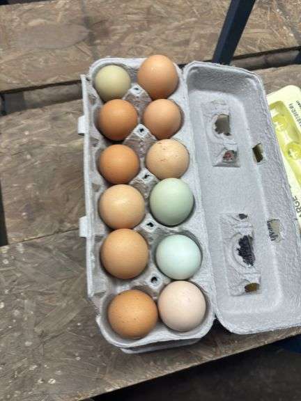 3 Doz XL Mixed Eating Eggs