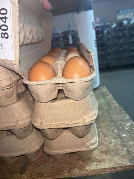 3 Doz Medium Brown Eating Eggs