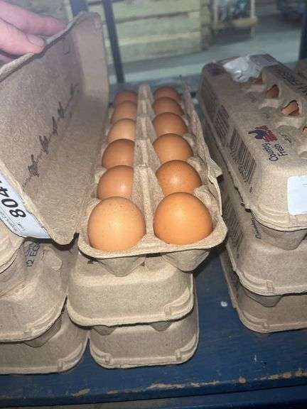 3 Doz Medium Brown Eating Eggs