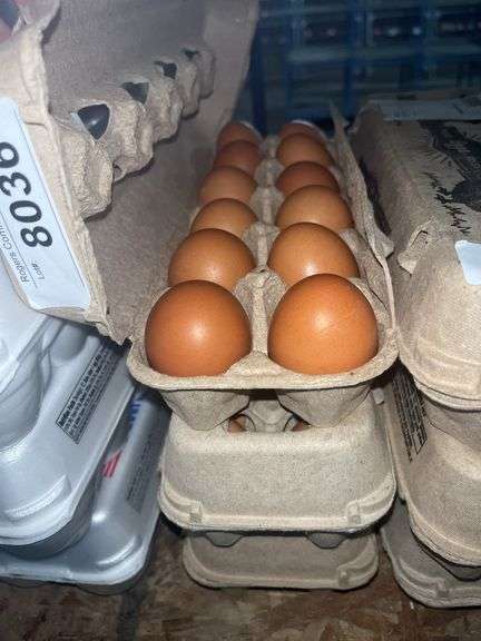 3 Doz Medium Brown Eating Eggs