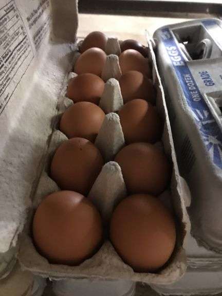 4 Doz Brown Eating Eggs
