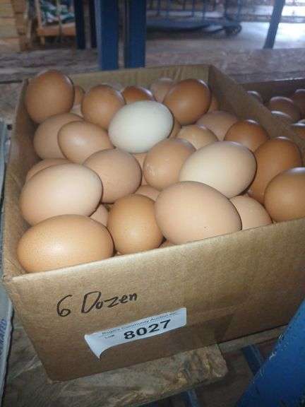 6 Doz Large Brown Eating Eggs