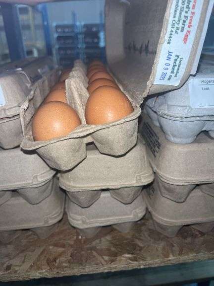 3 Doz Medium Brown Eating Eggs