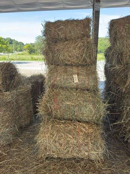 15 Mini Round Bales 1st Mix (28"x20")