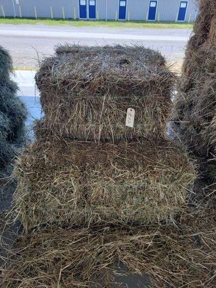 8 1st Orchard Grass Timothy Mix