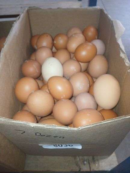 7 Doz Large Brown Eating Eggs