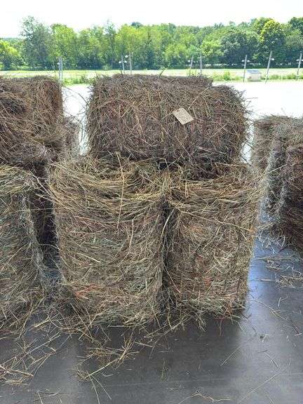 10 Mini Round Bales 1st Mix (20"x28")