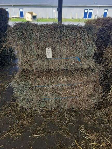10 2nd Alfalfa Timothy