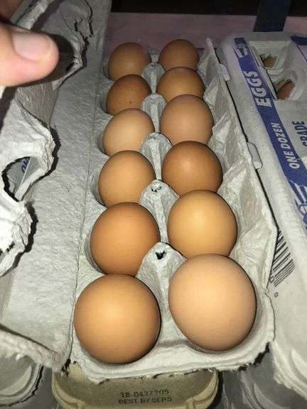 4 Doz Brown Eating Eggs