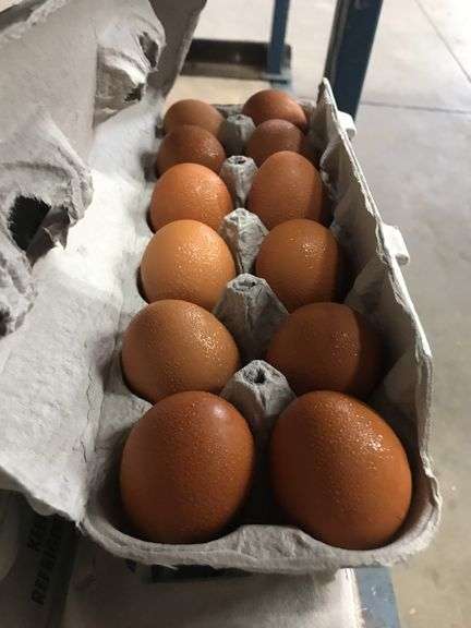 4 Doz Brown Eating Eggs