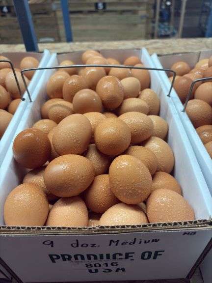 9 Doz Medium Brown Eating Eggs