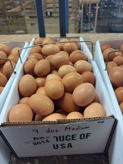 9 Doz Medium Brown Eating Eggs