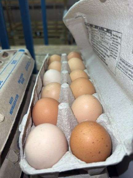 2 Doz Large Brown Eating Eggs