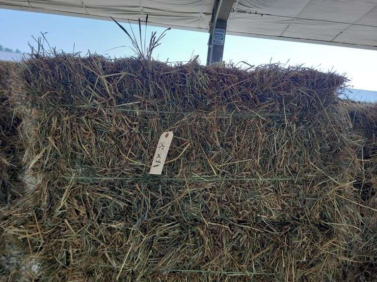 20 1st Orchard Grass Timothy Mix
