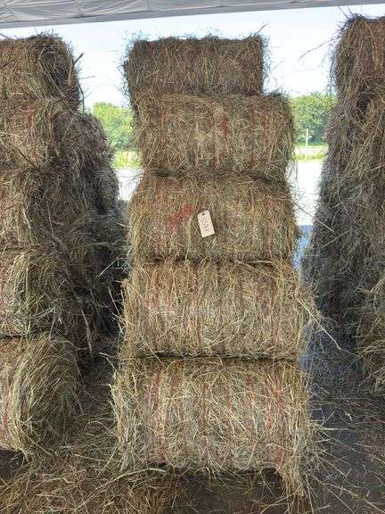 15 Mini Round Bales 1st Mix (28"x20")