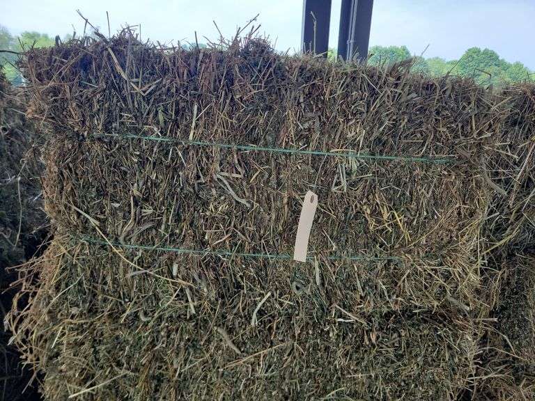 10 1st Alfalfa Orchard Timothy