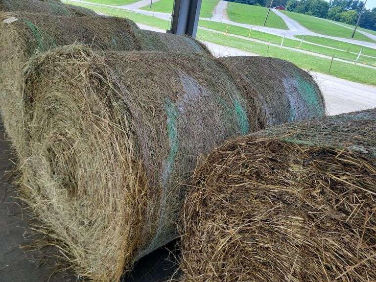 2 Round Bales Orchard Clover Alfalfa  Dry  (4x5) Net Wrapped  Stored Inside