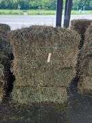 10 1st Alfalfa Orchard Timothy