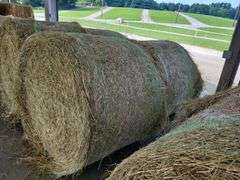 2 Round Bales Orchard Clover Alfalfa  Dry  (4x5) Net Wrapped  Stored Inside
