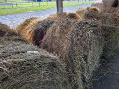 2 Round Bales 1st Mix Grass (4x4) Stored inside (2024)