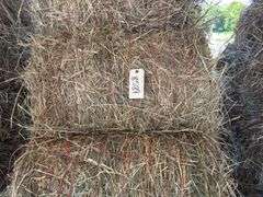 15 Mini Round Bales 1st Mix (28"x20")