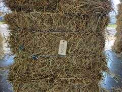 15 1st (15%) Clover Alfalfa & (85%) Timothy Orchard Grass - Never Wet