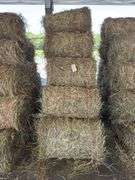 15 Mini Round Bales 1st Mix (28"x20")