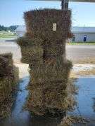 15 1st (15%) Clover Alfalfa & (85%) Timothy Orchard Grass - Never Wet