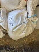 Bag of Feed - Corn, Oats, Molasses & Minerals - Approx. 25lbs