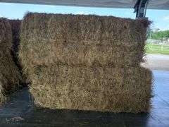 2 Large Squares 1st Grass (3x3)
