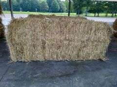 1 Large Square 1st Grass (3x3)