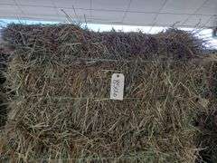 20 1st Orchard Grass Timothy Mix