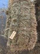 6 1st Grass