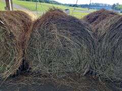 2 Round Bales 1st Mix Grass (4x4) Stored inside (2024)