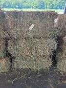 10 1st Alfalfa Orchard Timothy