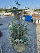 Barn Plant