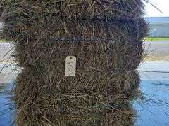 15 1st (15%) Clover Alfalfa & (85%) Timothy Orchard Grass - Never Wet