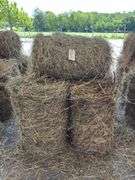 10 Mini Round Bales 1st Mix (20"x28")