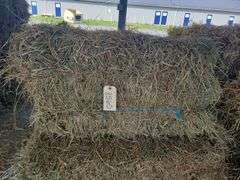 10 2nd Alfalfa Timothy