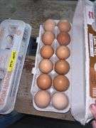 1 Doz Super Jumbo Brown Eating Eggs