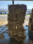 15 1st (15%) Clover Alfalfa & (85%) Timothy Orchard Grass - Never Wet
