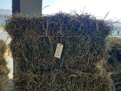 7 1st Alfalfa Orchard Timothy