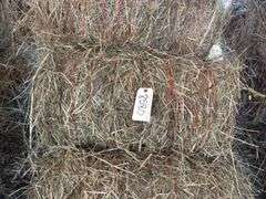 15 Mini Round Bales 1st Mix (28"x20")