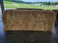 1 Large Square 1st Grass (3x3)
