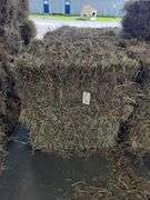 12 1st Alfalfa Timothy