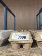1 Doz Fertile Silkie Eggs - Paint, Gold & Buff