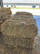 10 3rd Grass Alfalfa (No Rain)